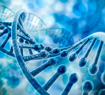 Global Cell Expansion Market 2018-2022